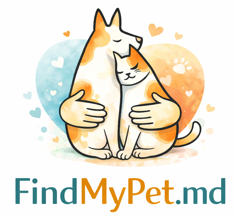 НАШИ ЦЕЛИ - О НАШЕМ ПРОЕКТЕ