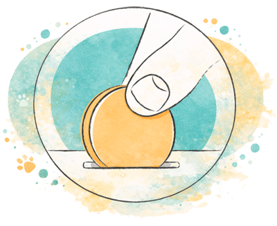 19_Pomoch_proektu_v3