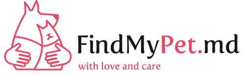 FindMyPet